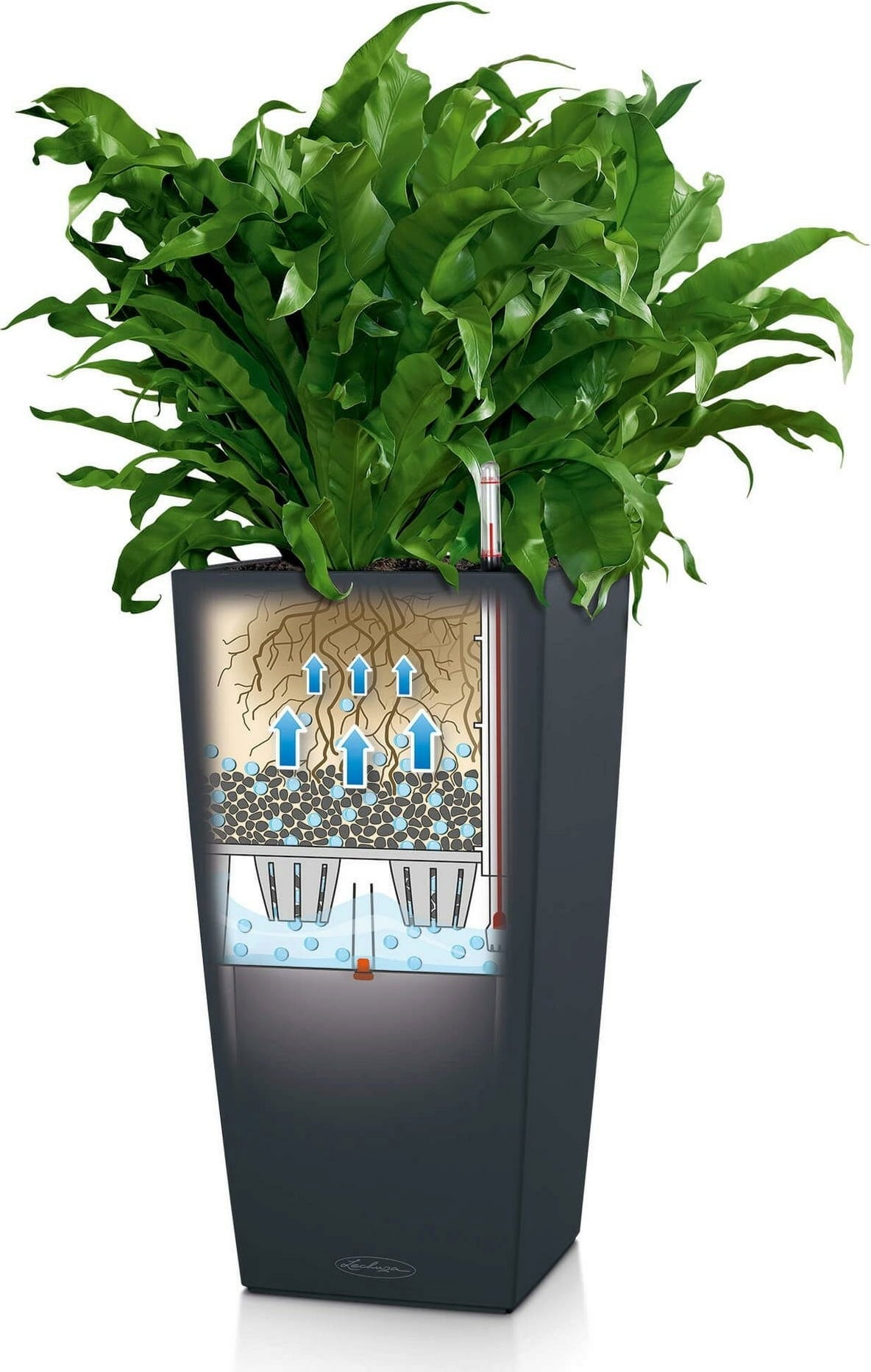 Lechuza CUBICO Color 40 Planter