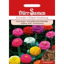 Dürr Samen Zinnia Lilliput - 1 sachet