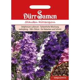 Dürr Samen Perennial Delphinium - 1 Pkg