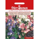 Dürr Samen Akelei - 1 Verpakking