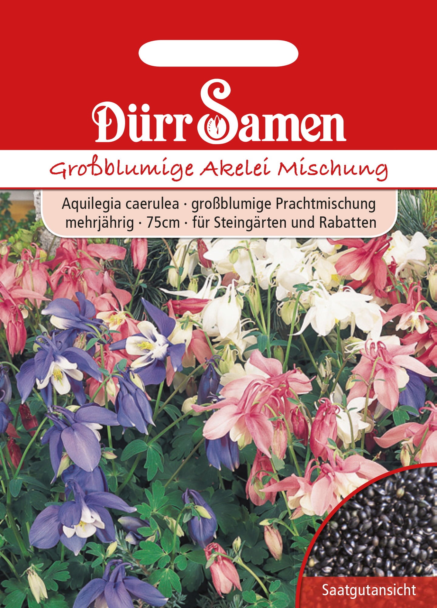Dürr Samen Akelei - 1 Pkg