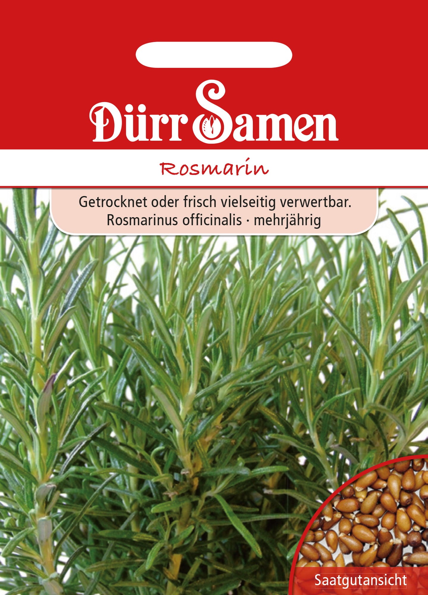Dürr Samen Rožmarin