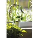 Nelson Garden Climbing Aid For Potted Plants - Circle - 1 item