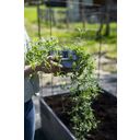 Nelson Garden Plug Propagation Mini Greenhouse, Grey - 1 item