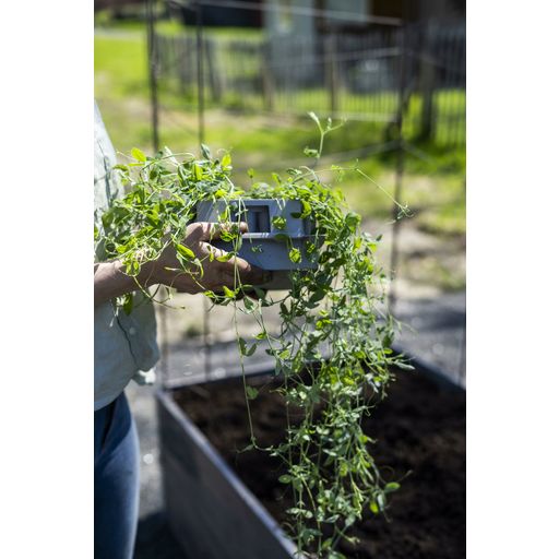 Nelson Garden Plug Propagation Mini Greenhouse, Grey - 1 item