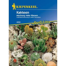 Kiepenkerl Cactus Mix - 1 Pkg