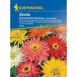 Kiepenkerl Youth-and-Age Zinnia 