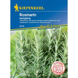 Kiepenkerl Perennial Rosemary 