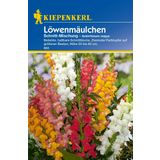 Kiepenkerl Wyżylin, mieszanka kwiatów ciętych