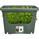 elho Stack & Grow large green basics  - leaf green