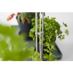 Systém pestovania green basics Light Garden - 1 ks