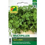 Petersilie "Gigante d'Italia" (Multipillen)