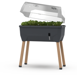 SAMMY SALAD Raised Bed With Water Tank & Hood - anthracite