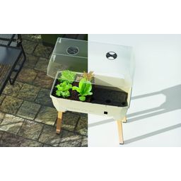SAMMY SALAD Raised Bed With Water Tank & Hood