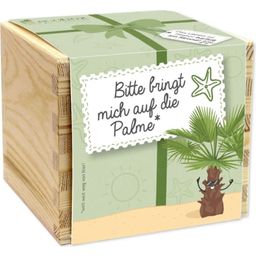 Feel Green ecobox "Palmier" - Special