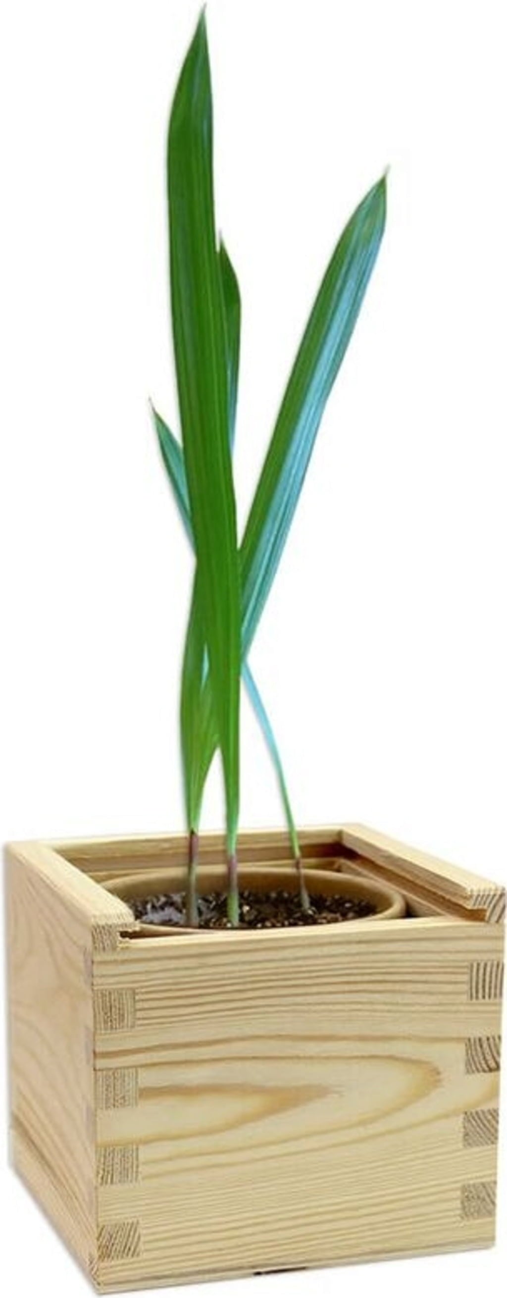 Feel Green ecobox 