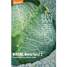 ReinSaat Wirsing "Winterfürst 2"