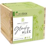 Feel Green ecobox "czterolistna koniczyna"