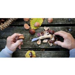 N°7 Chestnut/Peeling Knife, Chestnut Wood - 1 item