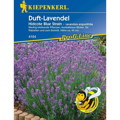 Kiepenkerl English Lavender 