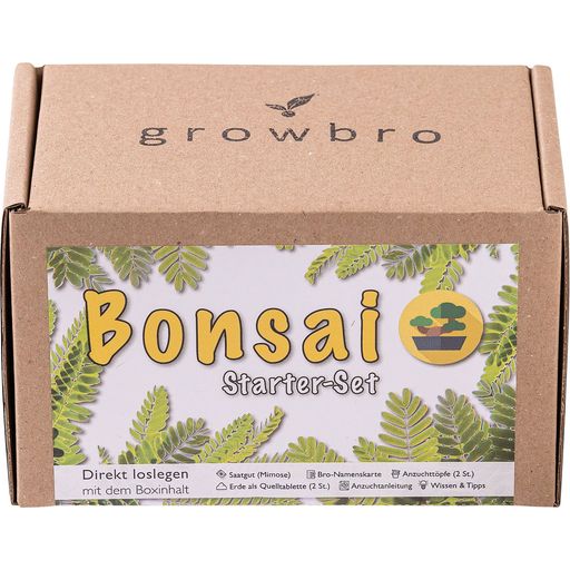 Set da Coltivazione - Mimosa Pudica Bonsai - 1 set