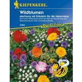 Kiepenkerl Dzikie kwiaty i zioła