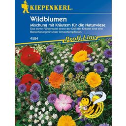 Kiepenkerl Wildflowers & Herbs - 1 Pkg