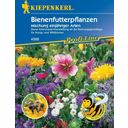 Kiepenkerl Enoletne rastline za čebelarjenje - 1 pkt.