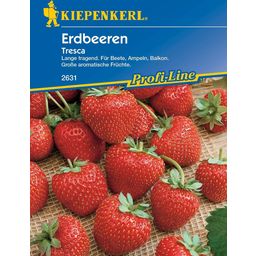 Kiepenkerl Strawberries "Fresca"