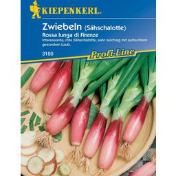 Kiepenkerl Spring Onions "Florence Red"