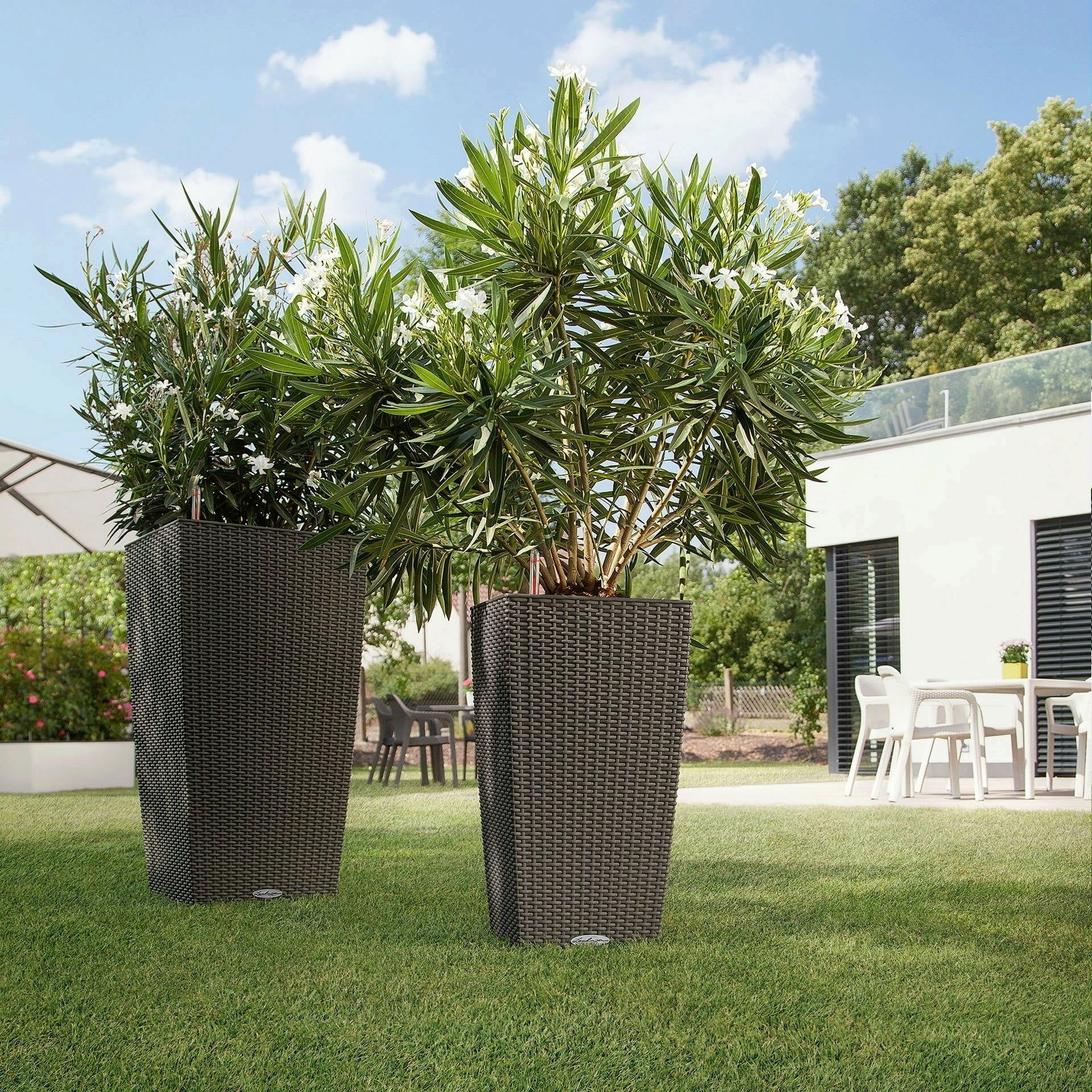 Lechuza CUBICO Cottage 40 Planter - Mocha