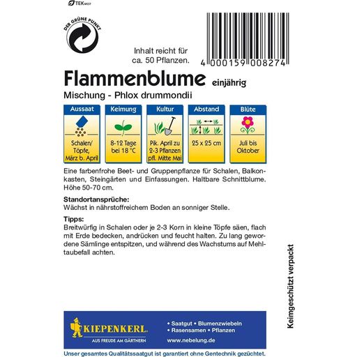 Kiepenkerl Phlox Flame Mix - 1 Pkg