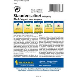Kiepenkerl Meerjarige Salie - Blaukönigin - 1 Verpakking