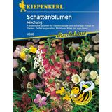 Kiepenkerl Shade Flower Mix