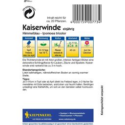 Kiepenkerl Himmelblaue Kaiserwinde - 1 Pkg