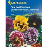 Kiepenkerl Pansies "Orchid Blossom Mix"