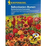 Kiepenkerl Balkónový kvetinový mix "Feuerzauber"