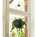 Lechuza BOLA Color 32 Hanging Planter - Slate Grey