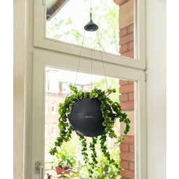 Lechuza BOLA Color 32 Hanging Planter - Slate Grey