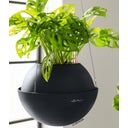 Lechuza BOLA Color 32 Hanging Planter - Slate Grey