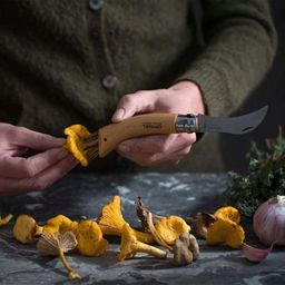 Összecsukható-gombász kés Plumier N°08 - Tölgyfából, tokkal - 1 szett