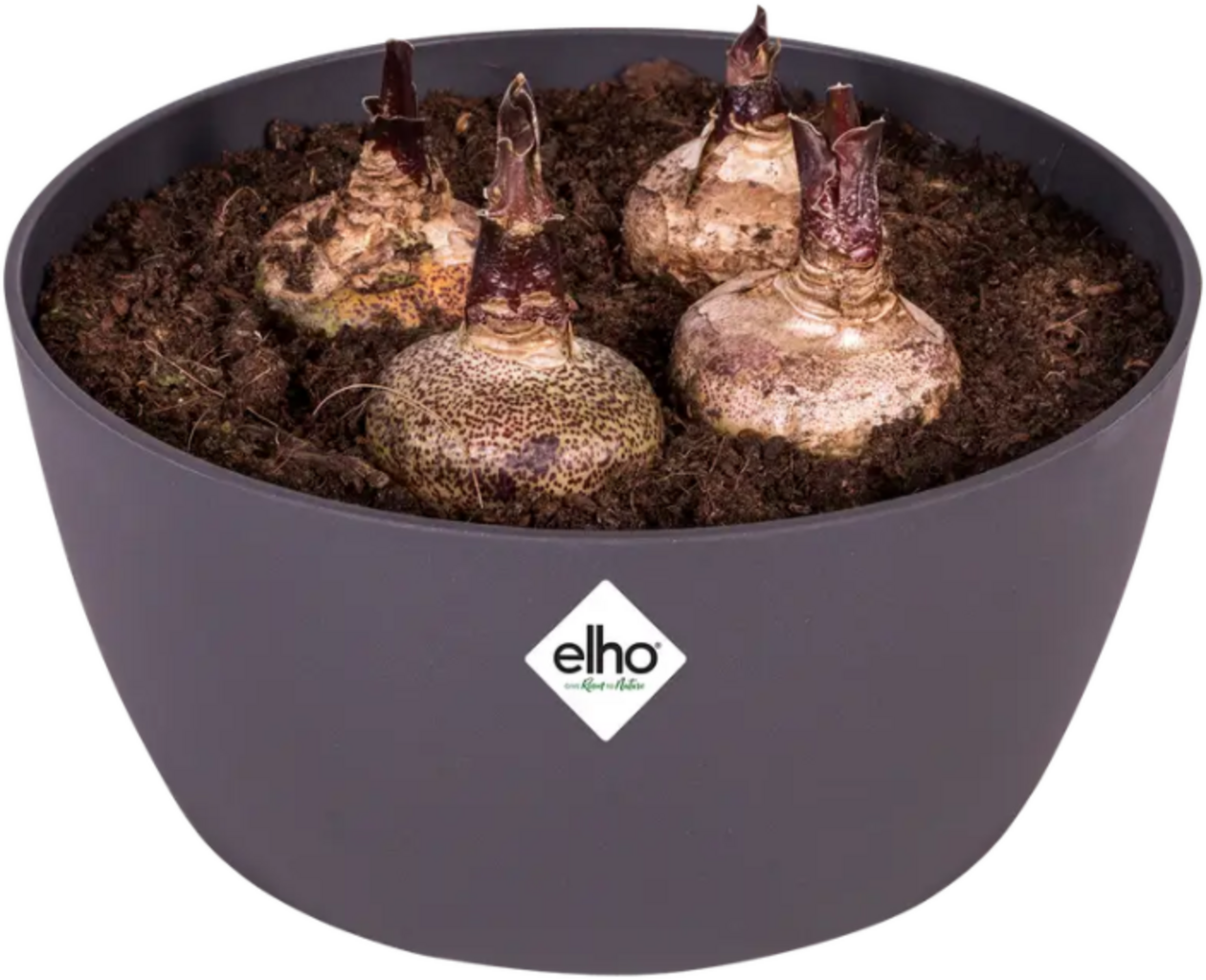elho brussels Bowl, 23cm - anthracite