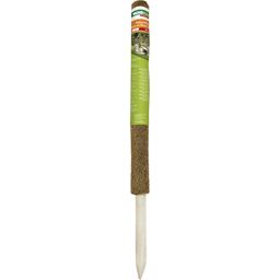 Windhager Coir Coconut Plant Stake - 60 cm