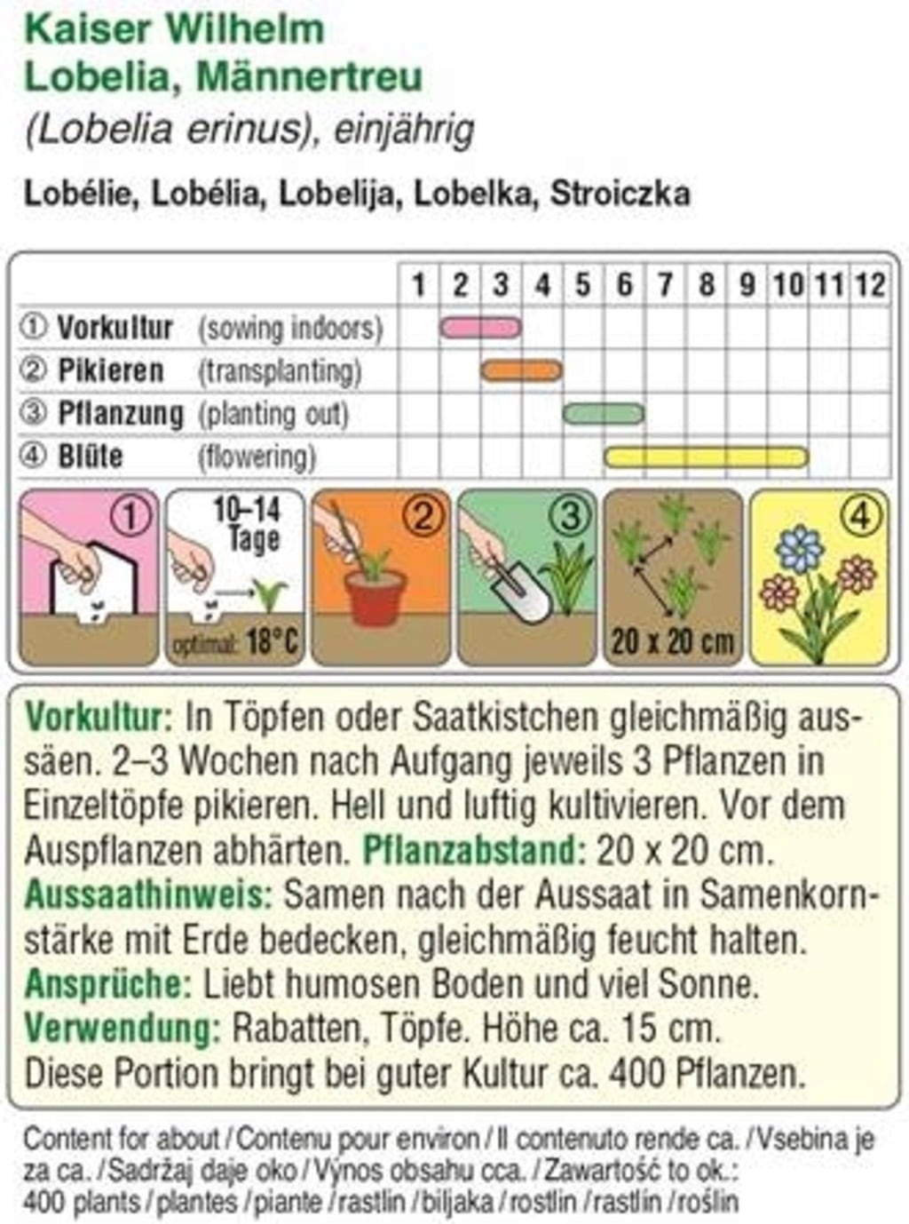 AUSTROSAAT Erinasta lobelija 