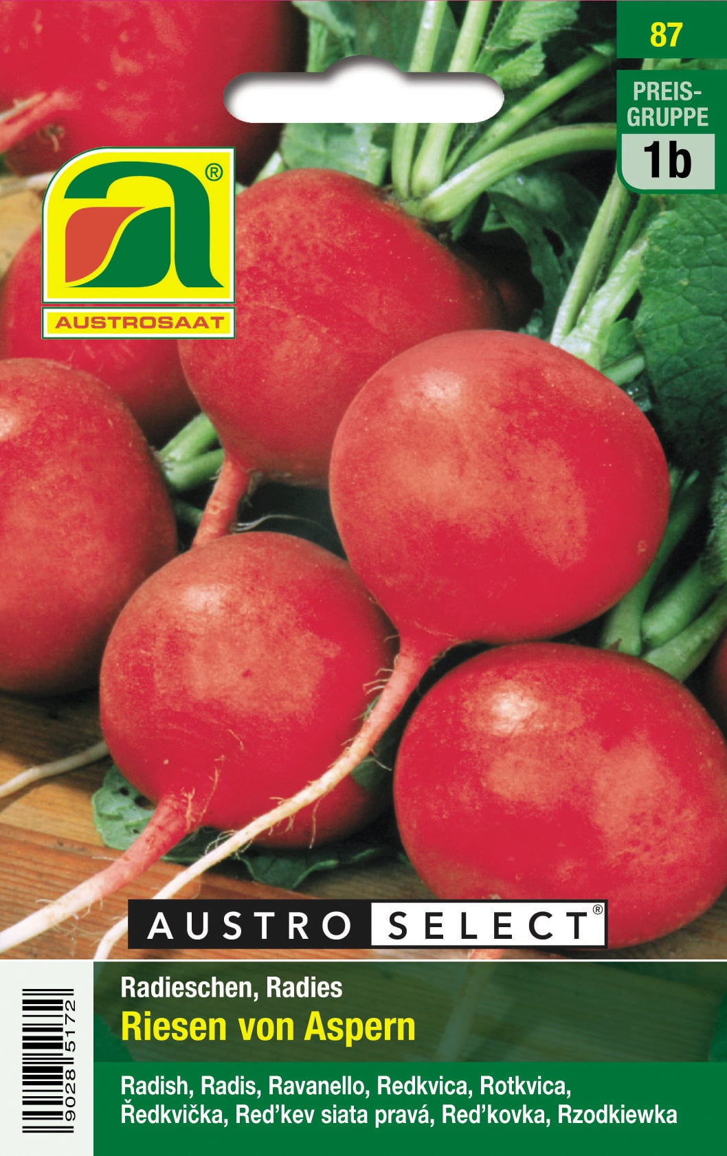 AUSTROSAAT Radies Riesen v. Aspern - 1 Pkg