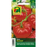 AUSTROSAAT Tomate - Marmande