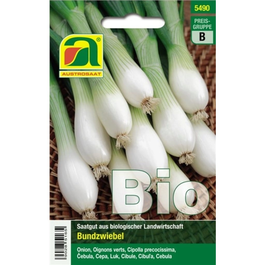 AUSTROSAAT Bio Frhlingszwiebel "Witte von Lissabon", 1 Packung - Bloomling  Schweiz