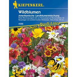 Kiepenkerl American Country Flowers Mix