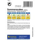 Kiepenkerl Sommerazaleen-Mischung - 1 Pkg