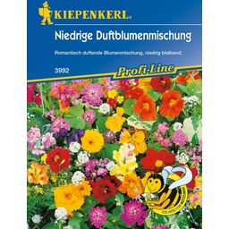 Kiepenkerl Low Growing Scented Flower Mix